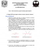 REPORTES QUIMICA ORGANICA 1