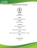 ENSAYO ACERCA DE LA INFANCIA INTERMEDIA DE 7 A 10 AÑOS