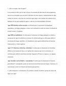 ¿Qué es un agar y tipo de agares?