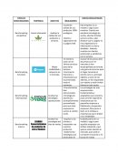 TIPOS DE BENCHMARKING