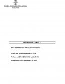 JUICIO POR DELITO LEVE