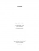 Estequiometria