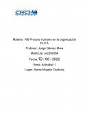 M8 Proceso humano en la organización FLC A