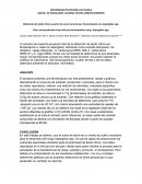 ANLISIS DE SIMULADOR