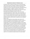 Mejoramiento molecular de Theobroma cacao