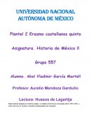 Ensayo huesos de lagartija