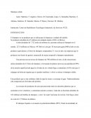 Proyecto Shampoo sólido