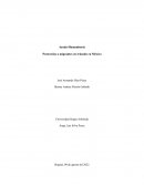 Protección a migrantes en tránsito en México