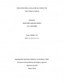 PEDAGOGIA PARA LA SOLUCIÓN DE CONFLICTOS