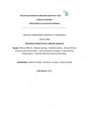 SECUENCIA DIDÁCTICA DE CIENCIAS SOCIALES