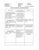 CEDULA PARA REVISION Y ANALISIS PRELIMINAR