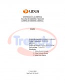 Investigación de Mercado . Trendy