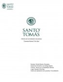 Informe de Convalidación de practica: “Empresa Mowart Chile Spa”