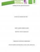 COMPRENSION DE CONCEPTOS BASICOS