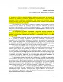 Ensayo sobre la universidad en Mexico