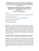 ESTEQUIOMETRÍA DE REACCIONES QUIMICAS