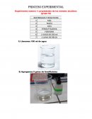 Proceso experimental introducción al sistema periodico i