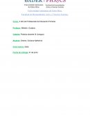 Actividades sobre la noticia para 6to de primaria