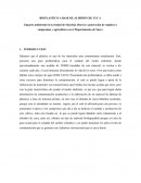 Bioplasticos base de almidon de yuca