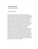 CULTVIOS ANUALES
