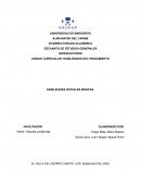 Habilidades sociales Básicas