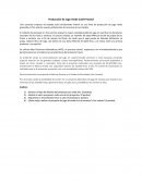 Producción de Jugo Verde Cold-Pressed