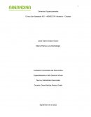 ANALISIS EMPRESARIAL CLINICA SAN SEBASTIAN