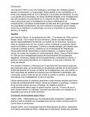 Concepción del Aprendizaje según Pávlov