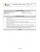 Formato Descripcion de Puestos Gerente de Operaciones