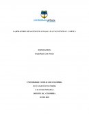 LABORATORIO DE MATEMÁTICAS PARA CÁLCULO INTEGRAL: CORTE 3