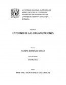 ENTORNO EN LAS ORGANIZACIONES U1 A1