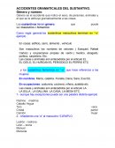 Accidentes gramaticales del sustantivo