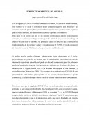 PERSPECTIVA AMBIENTAL DEL COVID-19