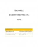 Diagnostico empresarial Empresa Colun