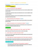 MI META LAICAL ES LA SANTIDAD