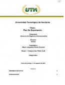 Plan De Exportación