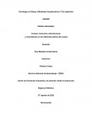 Huesos, músculos, articulaciones y movimientos en las diferentes partes del cuerpo