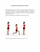 Anatomía del aparato locomotor