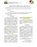 OBTENCIÓN DE CARBONATO DE COBRE Y PLOMO