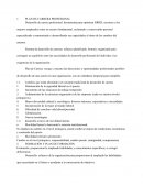 PLAN DE CARRERA PROFESIONAL