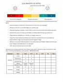 SEGUIMIENTO DE METAS