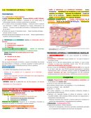 TROMBOSIS ARTERIAL Y VENOSA