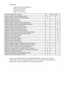 Evaluacion Grado: 5º D, 6º D y 7º D