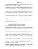 El proceso de administración estratégica