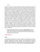 Aborto- causas y consecuencias