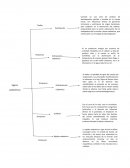 Fundamentos de medicina legal