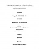 Vías metabólicas de los carbohidratos