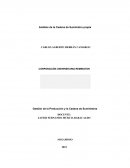 Análisis de la Cadena de Suministro propia