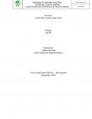 Plan de acción para mantener comunicados a los colaboradores del equipo