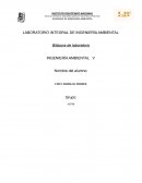 BITÁCORA DE ACTIVIDADES DECÁLOGO DE MANEJO